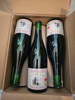 Cantillon - Rosé de Gambrinus 2018 (doos 6 flessen), Ophalen of Verzenden, Flesje(s), Overige merken