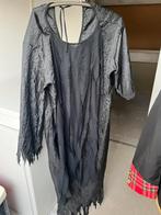 Carnavalskleding, Kleding | Dames, Ophalen, Zo goed als nieuw, Maat 46/48 (XL) of groter, Carnaval