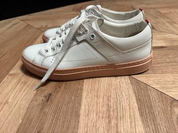 Hugo Boss dames sneakers maat 39 beschikbaar voor biedingen