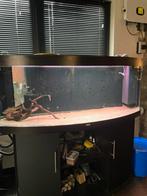 1.50m Aquarium, Ophalen, Zo goed als nieuw, Leeg aquarium