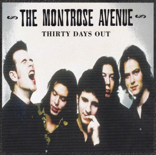 cd van The Montrose Avenue – Thirty Days Out, Cd's en Dvd's, Cd's | Rock, Zo goed als nieuw, Poprock, Verzenden
