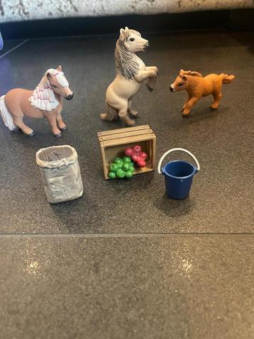 41432 Schleich Horse Club mini familie shetty   beschikbaar voor biedingen