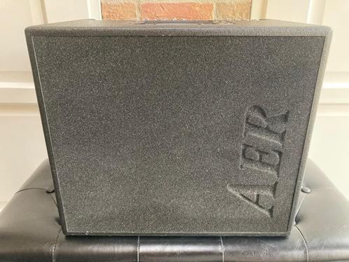 AER Domino 2A versterker, Muziek en Instrumenten, Versterkers | Bas en Gitaar, Gebruikt, Gitaar, 100 watt of meer, Ophalen