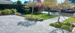 Stratenmaker nodig?, Tuin en Terras, Ophalen, Nieuw, 10 m² of meer, Beton