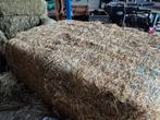 Vierkante balen grof hooi, Ophalen of Verzenden, Vee