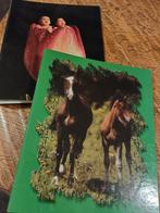 23 rings ringmap paard of baby afbeelding, Ophalen of Verzenden, Nieuw