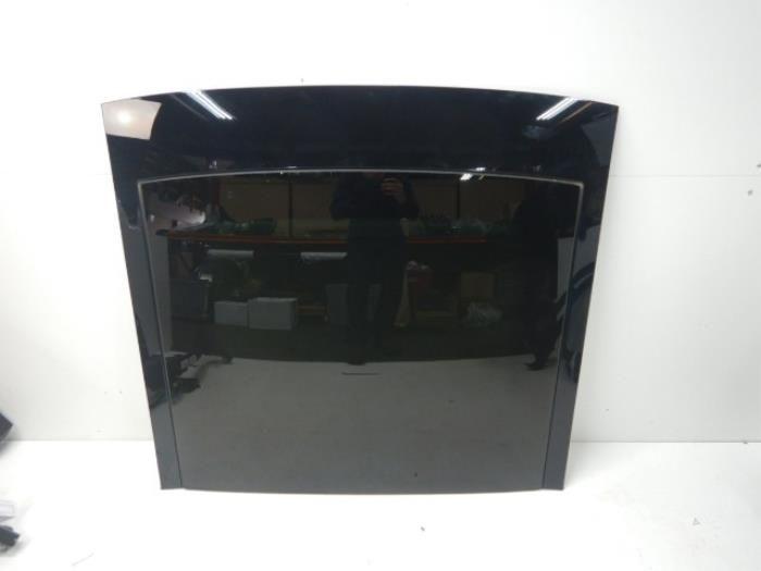 Panoramadak Volkswagen Diversen (22729937), Auto-onderdelen, Ophalen of Verzenden, Gebruikt