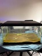 Aquarium 60 liter, Dieren en Toebehoren, Vissen | Aquaria en Toebehoren, Ophalen, Zo goed als nieuw, Leeg aquarium