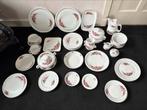 Royal Schwabap servies inclusief dinerborden, Antiek en Kunst, Ophalen of Verzenden