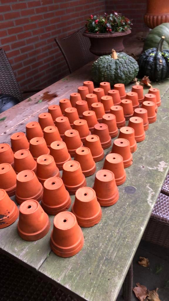Terra cotta potjes hobby/moestuin, Hobby en Vrije tijd, Overige Hobby en Vrije tijd, Ophalen, Gebruikt