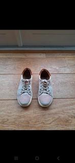Leuke kleurrijke schoenen / lage sneakers, Kleding | Dames, Schoenen, Ophalen of Verzenden, Sneakers of Gympen, Kindred, Gedragen