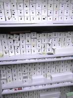 pixelhobby matjes, Ophalen of Verzenden, Nieuw, Materiaal