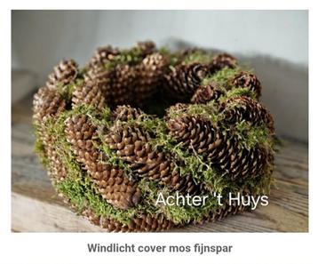 Windlicht cover krans mos met fijnspar dennenappels  beschikbaar voor biedingen