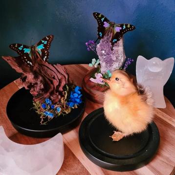 Stolpen met Vlinders  - Unieke Decoratie beschikbaar voor biedingen