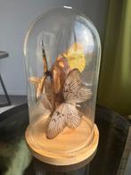 Unieke glazen stolp met vlinders op onyx toren, Ophalen, Mineraal