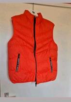 Nieuwe bodywarmer maat XL. Okselmaat 54 cm, Kleding | Dames, Bodywarmers, Ophalen of Verzenden, Nieuw, Maat 46/48 (XL) of groter