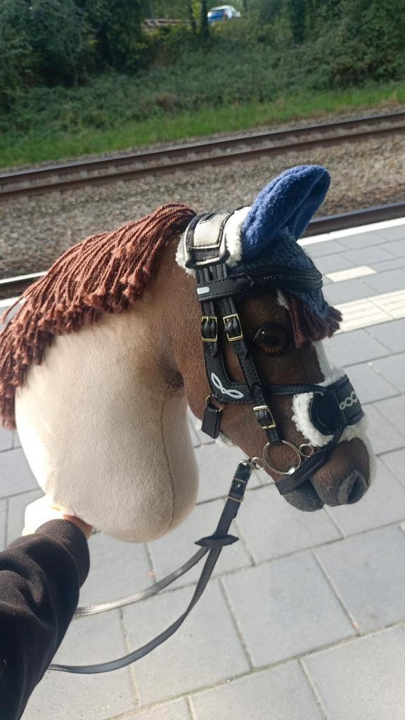 HONKA Hobbyhorse tekoop!, Hobby en Vrije tijd, Overige Hobby en Vrije tijd, Ophalen of Verzenden