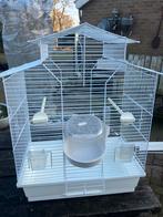 vogelkooi met eetbakjes,drinkfles,wasbakje., Ophalen, Zo goed als nieuw, Metaal, Vogelkooi