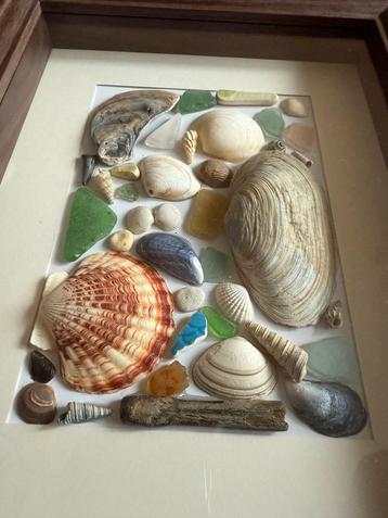 Zeevonsten Decoratie - Zeeland & Normandië beschikbaar voor biedingen