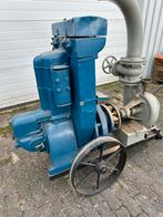 Antieke waterpomp, Doe-het-zelf en Verbouw, Motoren, Gebruikt, Ophalen of Verzenden, Benzinemotor