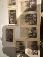 Boon's Cacao Wormerveer plaatjes, Ophalen of Verzenden, 1920 tot 1940, Ongelopen, Noord-Holland