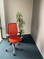 bureaustoel, Ophalen, Nieuw, Oranje