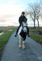 Oppas aangeboden kerstvakantie, Komt aan huis, Oppas