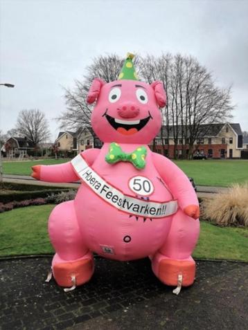 Abraham feestvarken te huur beschikbaar voor biedingen
