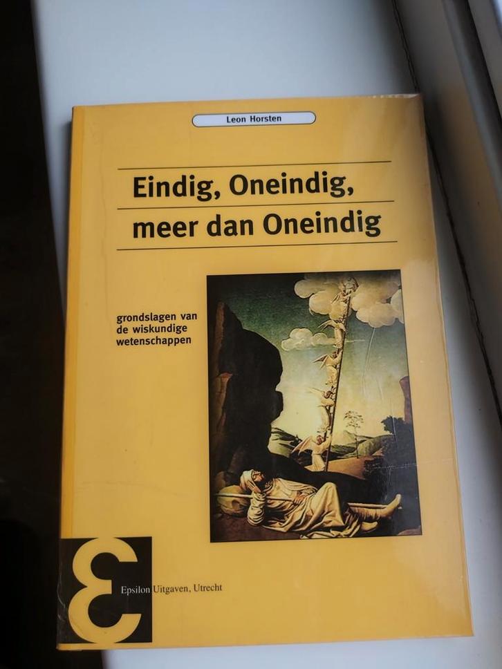 Eindig, Oneindig, meer dan Oneindig - Leon Horsten, Boeken, Studieboeken en Cursussen, Zo goed als nieuw, WO, Beta, Ophalen of Verzenden