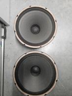Set van 2x 15 inch RFT (Alnico) speakers - 8 Ohm, Ophalen of Verzenden, Gebruikt