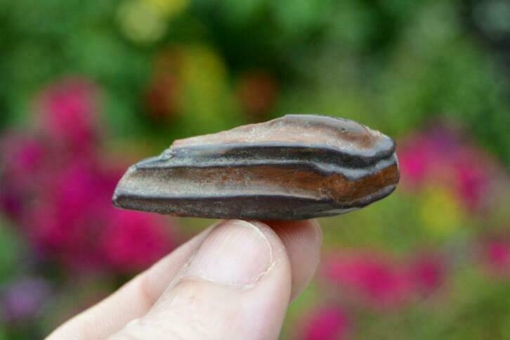 12. Banded Iron Stone, Sieraden, Tassen en Uiterlijk, Edelstenen, Nieuw, Ophalen of Verzenden