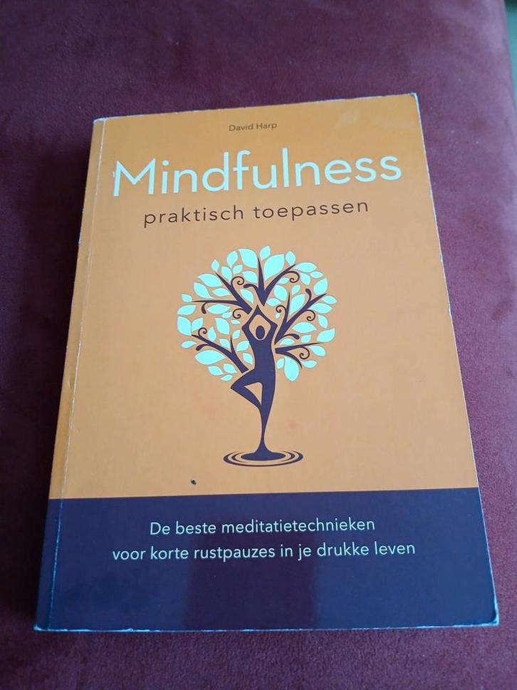 Mindfulness Praktisch Toepassen - David Harp, Boeken, Esoterie en Spiritualiteit, Gelezen, Achtergrond en Informatie, Meditatie of Yoga