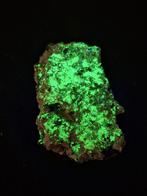 URANOCIRCIET (=UV), Ophalen of Verzenden, Mineraal
