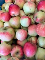 Rode delcorf appels voor cider, sap of moes, Ophalen
