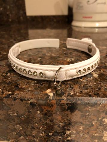 NIEUW! Hondenhalsbandje honden halsband steentjes beschikbaar voor biedingen