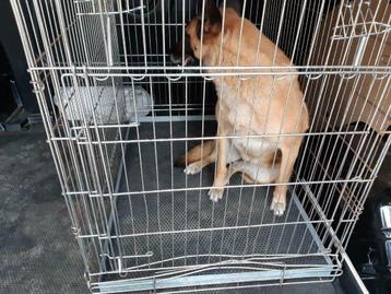 benchmat hondenbench  bench kennel rubbermat roo rubber beschikbaar voor biedingen