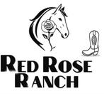 Pony rijlessen, Ophalen of Verzenden