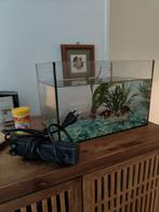 Klein aquarium (met pomp) en 2 vissen, Ophalen of Verzenden, Zo goed als nieuw
