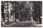 GA1040 Ruurlo Laan Achterhoek Borculo Eibergen Neede Vorden, Verzenden, 1940 tot 1960, Gelopen, Gelderland