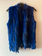 Marineblauw Bont Gilet, Ophalen of Verzenden, Nieuw, Maat 38/40 (M), Blauw