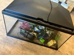 Aquarium 60-30-35h met pomp, filter, lamp, aankleding, Ophalen, Zo goed als nieuw