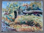 Aquarel Freek van den Berg - titel onbekend, Antiek en Kunst, Kunst | Schilderijen | Klassiek, Ophalen