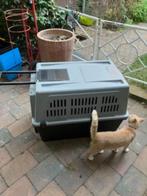 reiskooi hond, Dieren en Toebehoren, Hondenbenches, Ophalen, Zo goed als nieuw