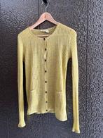 Isabel Marant Étoile vest, Kleding | Dames, Truien en Vesten, Isabel Marant, Geel, Maat 42/44 (L), Ophalen of Verzenden