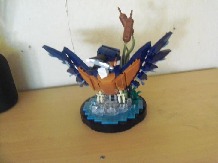 lego icons de ijsvogel, Kinderen en Baby's, Speelgoed | Duplo en Lego, Zo goed als nieuw, Lego, Complete set, Ophalen of Verzenden