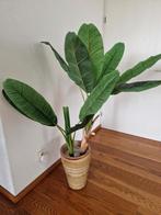 kunstplant bananenblad, Huis en Inrichting, Ophalen, Overige soorten, Halfschaduw, 100 tot 150 cm
