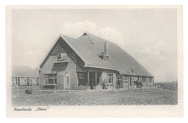 975292 Nieuwlande OV 1956 Boerderij Elema Postzegel afgew, Verzamelen, Ansichtkaarten | Nederland, Gelopen, Overijssel, 1940 tot 1960
