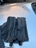 Chaps met strass, Dieren en Toebehoren, Ophalen of Verzenden, Gebruikt, Overige soorten, Onderkleding