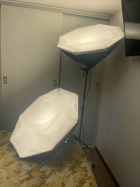 Set Octa Softboxen van Falcon Eyes 80 cm, Audio, Tv en Foto, Fotografie | Fotostudio en Toebehoren, Gebruikt, Lamp of Flitsset