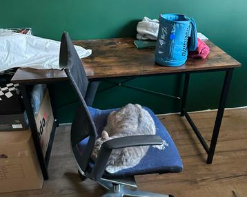 Vasagle desk 120x60 cm